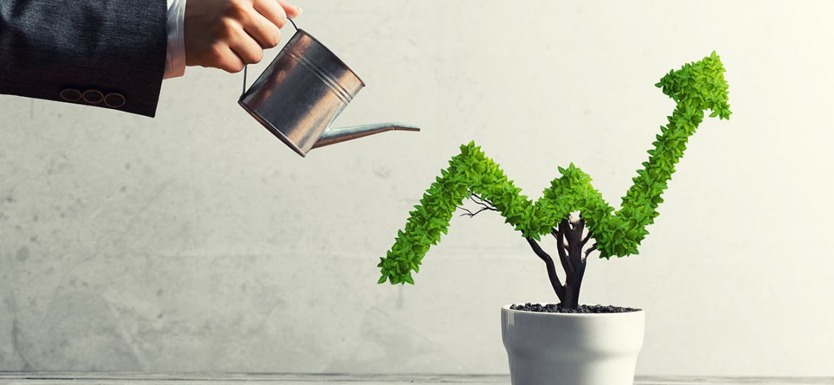 Grow Your Business with Marketing